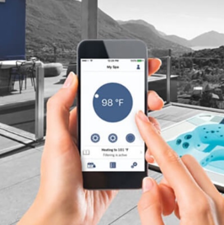 Гидромассажный спа-бассейн Wellis Lugano Life Deluxe